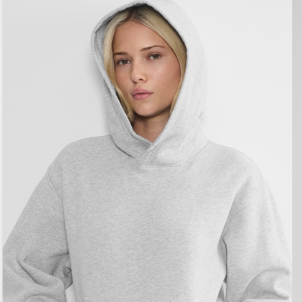Aritzia Cozy Sweatfleece Perfect Hoodie XS